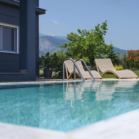 Zeusplace Pool Villa Olympus Riviera لِتوخورو المظهر الخارجي الصورة